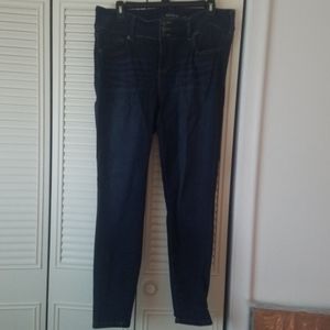 Torrid Denim